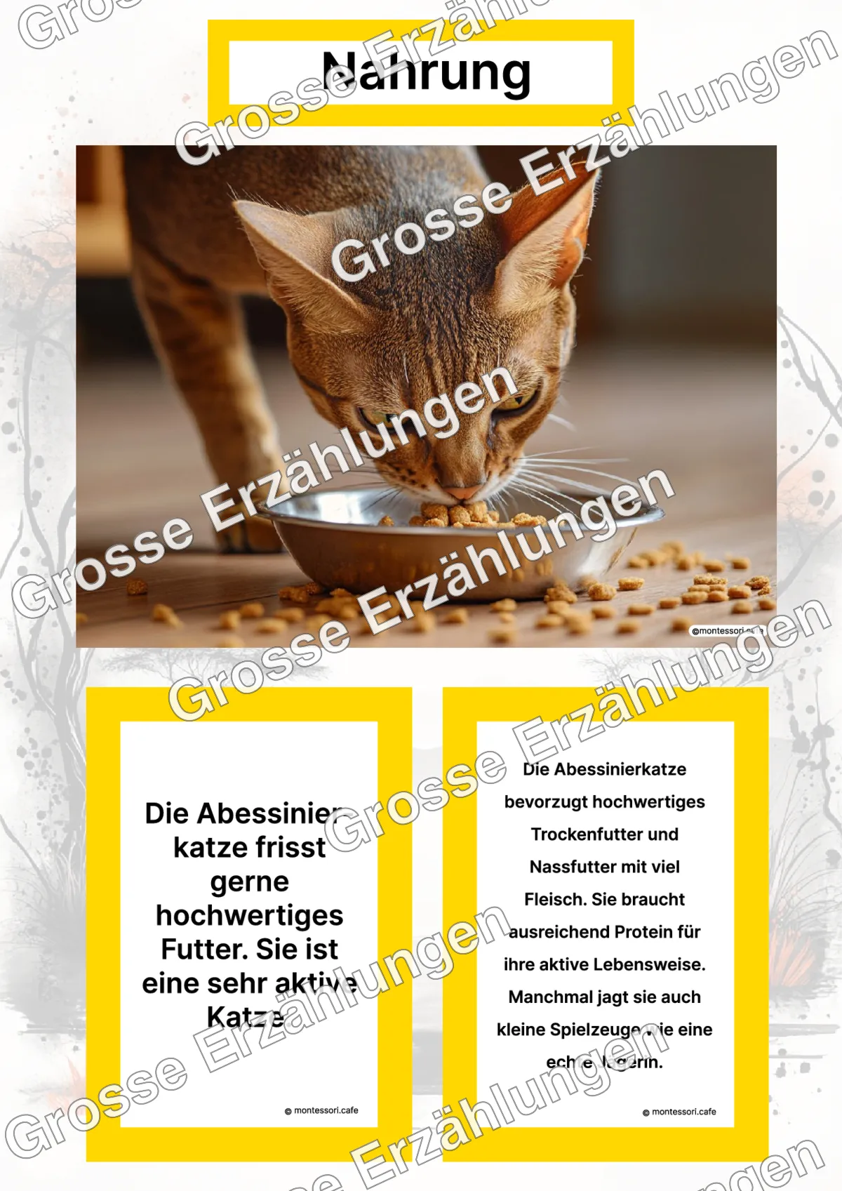 Die Abessinierkatze - Ganzheitliche Lernkarten - Titelseite und Übersicht des Kommen des Lebens Lernmaterials
