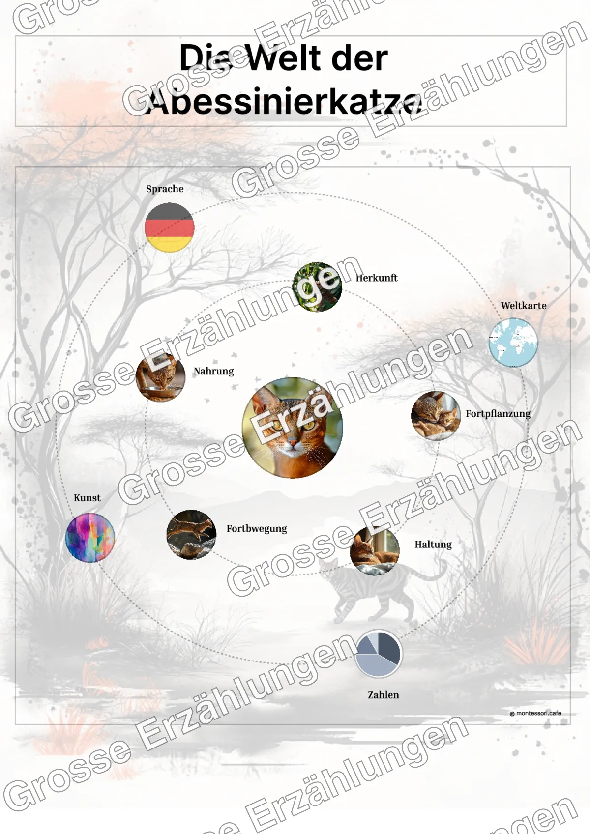 Die Abessinierkatze - Ganzheitliche Lernkarten - Beispielseite 3 von 5 mit Kommen des Lebens Inhalten