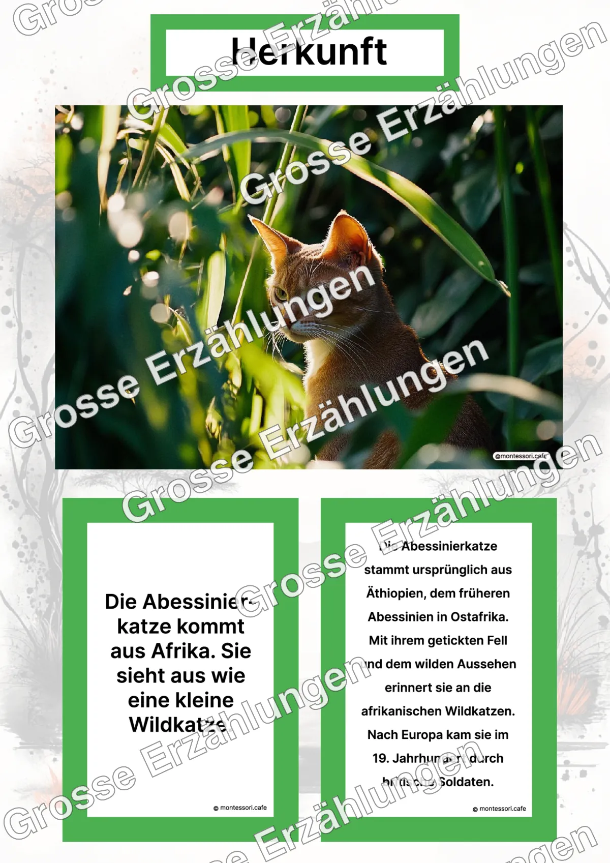 Die Abessinierkatze - Ganzheitliche Lernkarten - Letzte Vorschauseite des PDF-Downloads