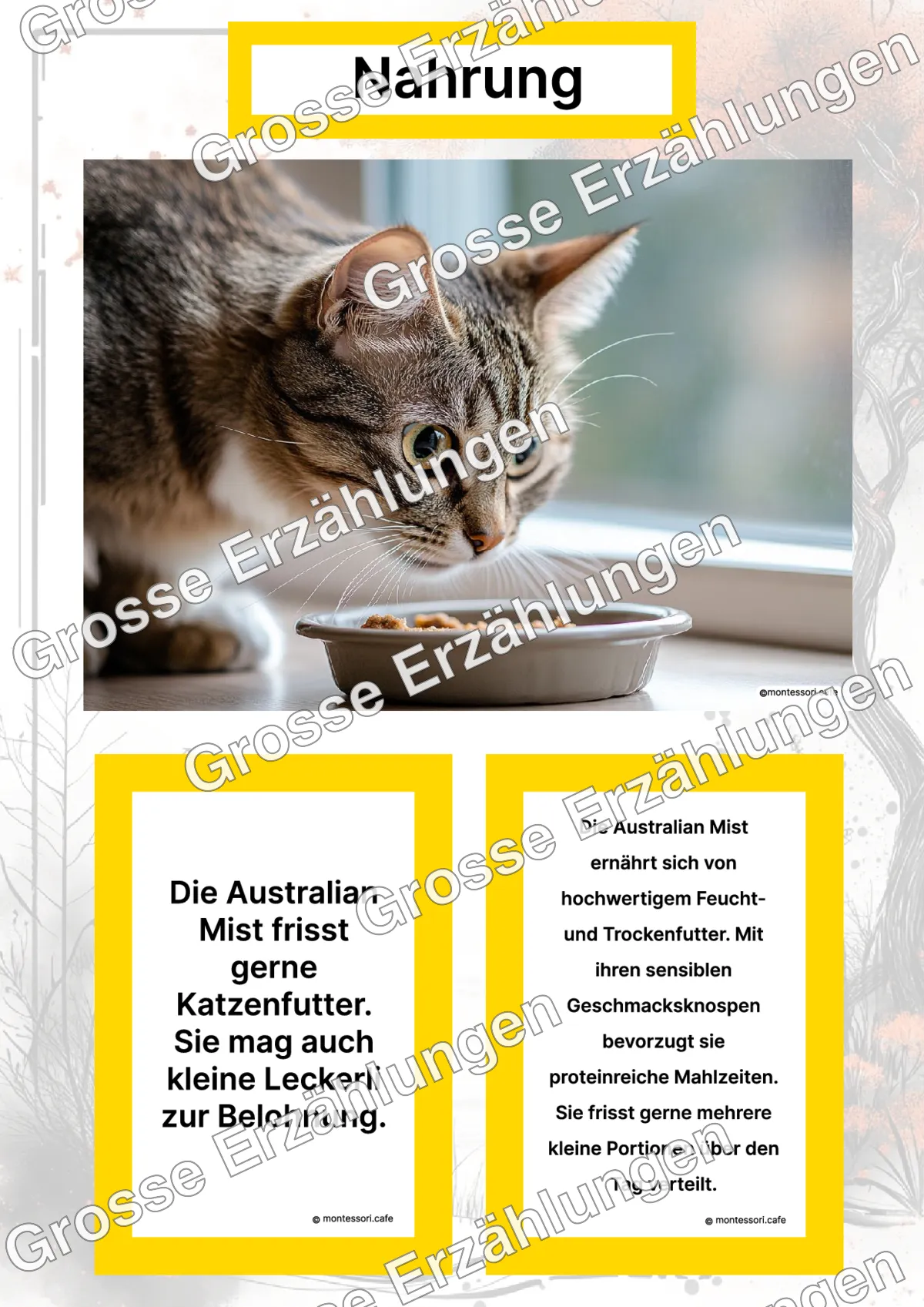 Die Australian Mist - Ganzheitliche Lernkarten - Titelseite und Übersicht des Kommen des Lebens Lernmaterials