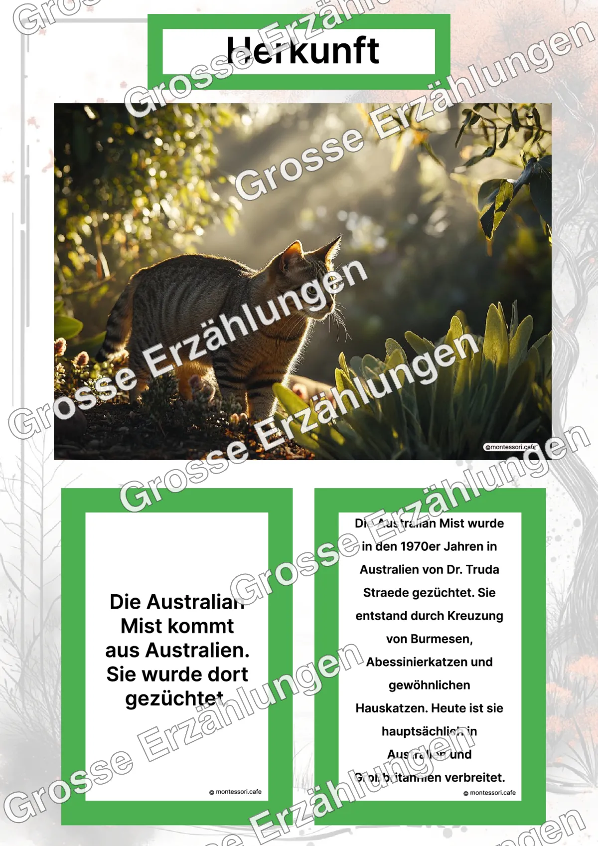 Die Australian Mist - Ganzheitliche Lernkarten - Letzte Vorschauseite des PDF-Downloads