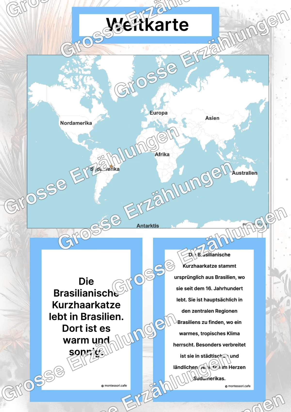 Die Brasilianische Kurzhaarkatze - Ganzheitliche Lernkarten - Inhaltsbeispiel Seite 2 mit Montessori Lehrmaterial
