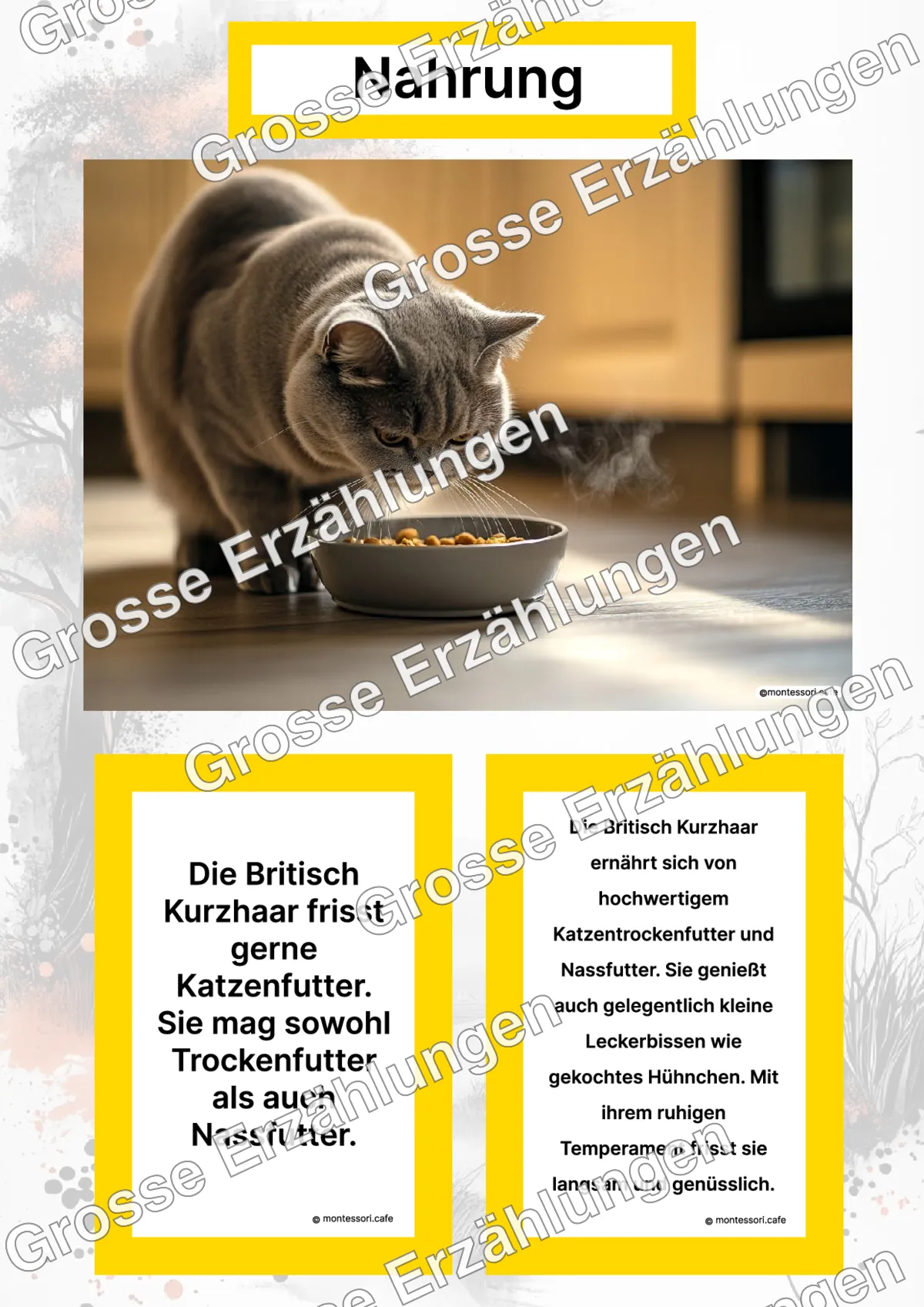 Die Britisch Kurzhaar - Ganzheitliche Lernkarten - Titelseite und Übersicht des Kommen des Lebens Lernmaterials