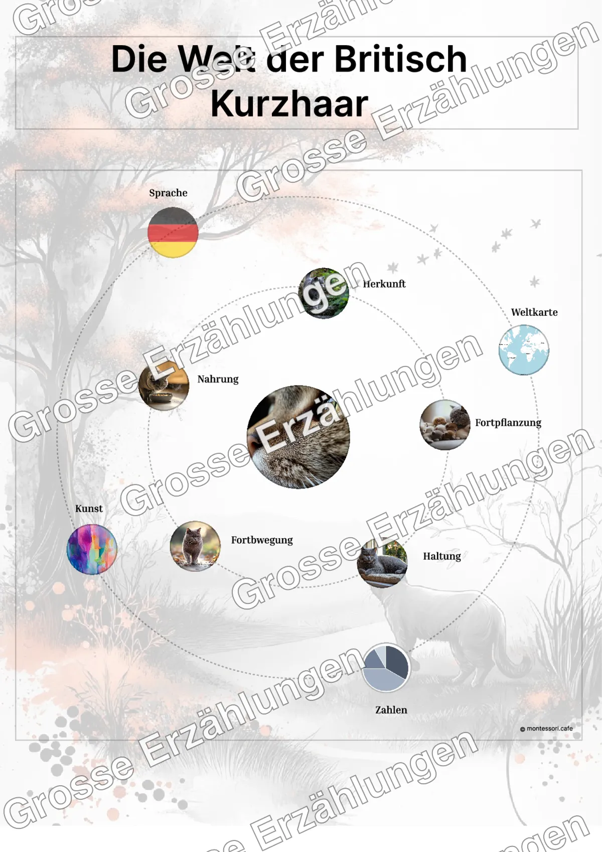 Die Britisch Kurzhaar - Ganzheitliche Lernkarten - Beispielseite 3 von 5 mit Kommen des Lebens Inhalten