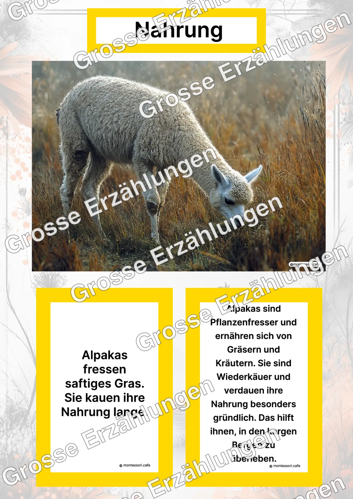 Das Alpaka - Lernkarten - Titelseite und Übersicht des Kommen des Lebens Lernmaterials