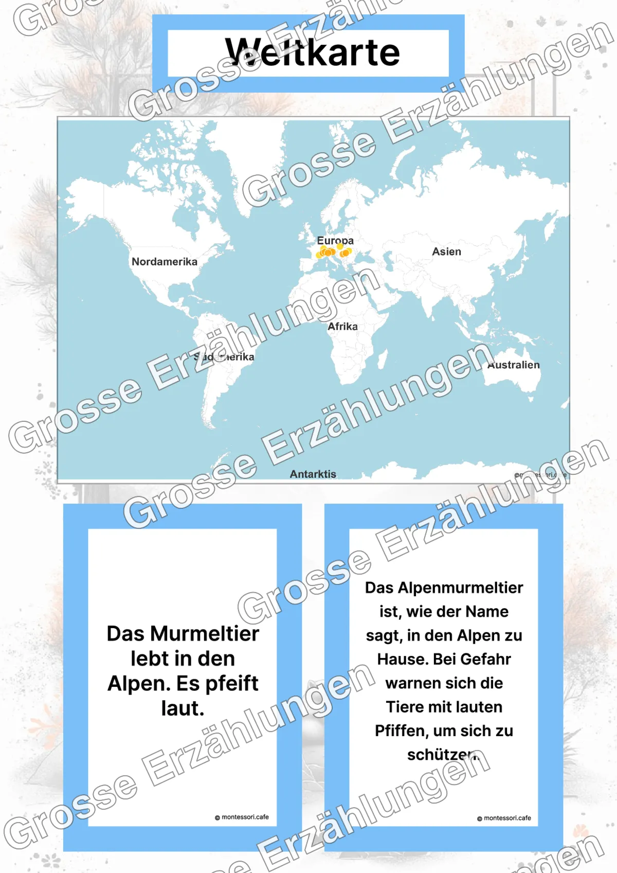 Das Alpenmurmeltier - Lernkarten - Inhaltsbeispiel Seite 2 mit Montessori Lehrmaterial
