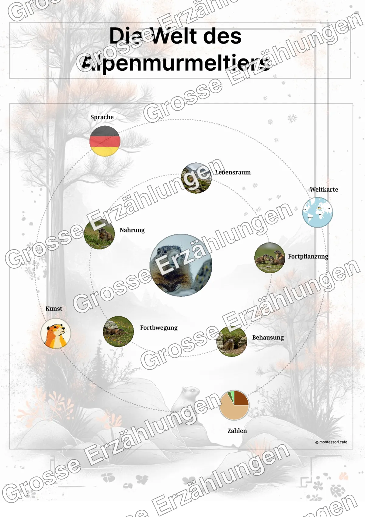 Das Alpenmurmeltier - Lernkarten - Beispielseite 3 von 5 mit Kommen des Lebens Inhalten