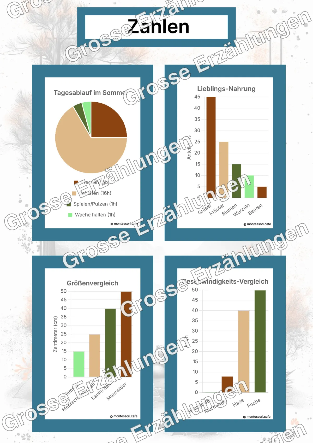 Das Alpenmurmeltier - Lernkarten - Beispielseite 4 von 5 mit Kommen des Lebens Inhalten