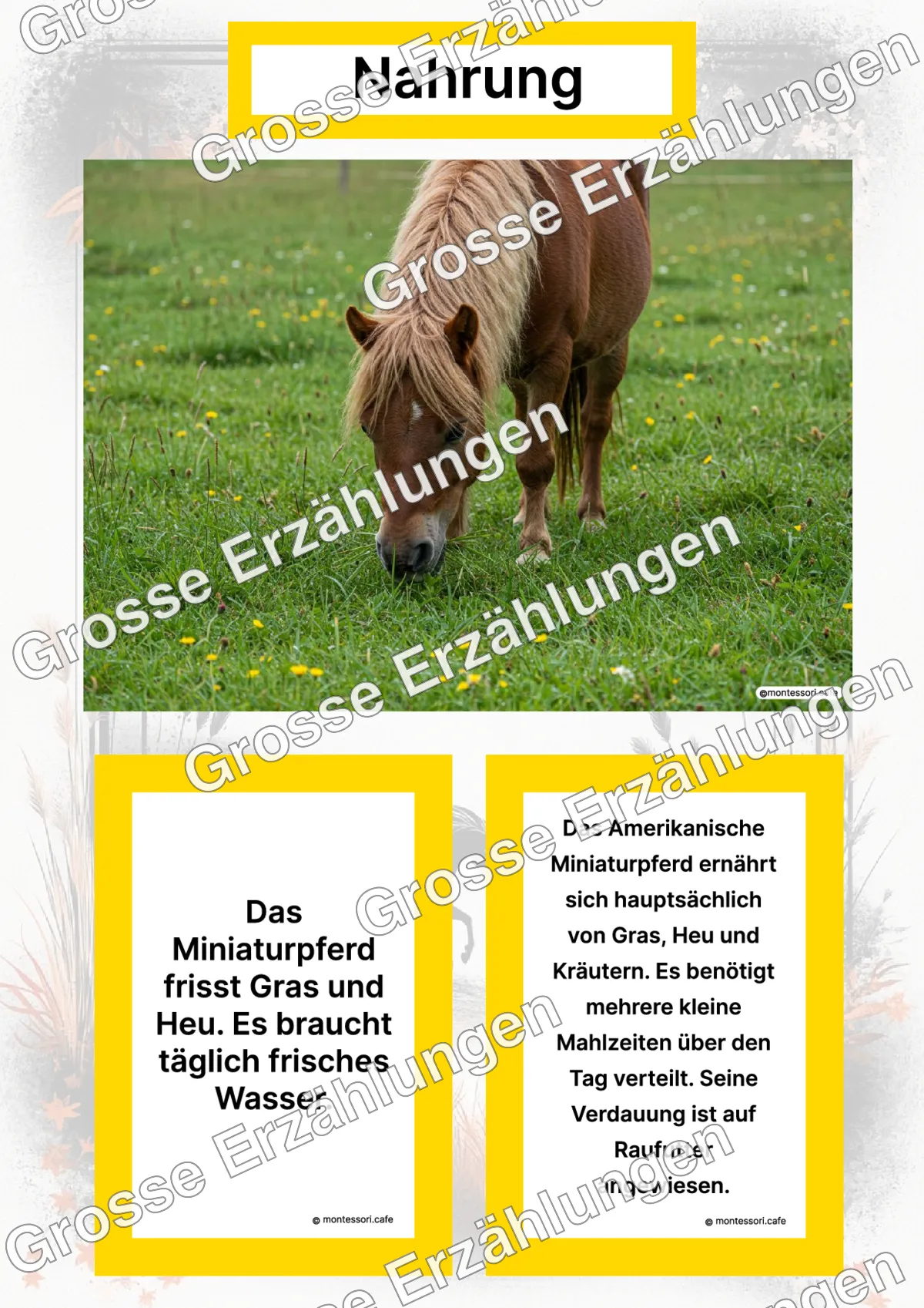 Das Amerikanische Miniaturpferd - Lernkarten - Titelseite und Übersicht des Kommen des Lebens Lernmaterials