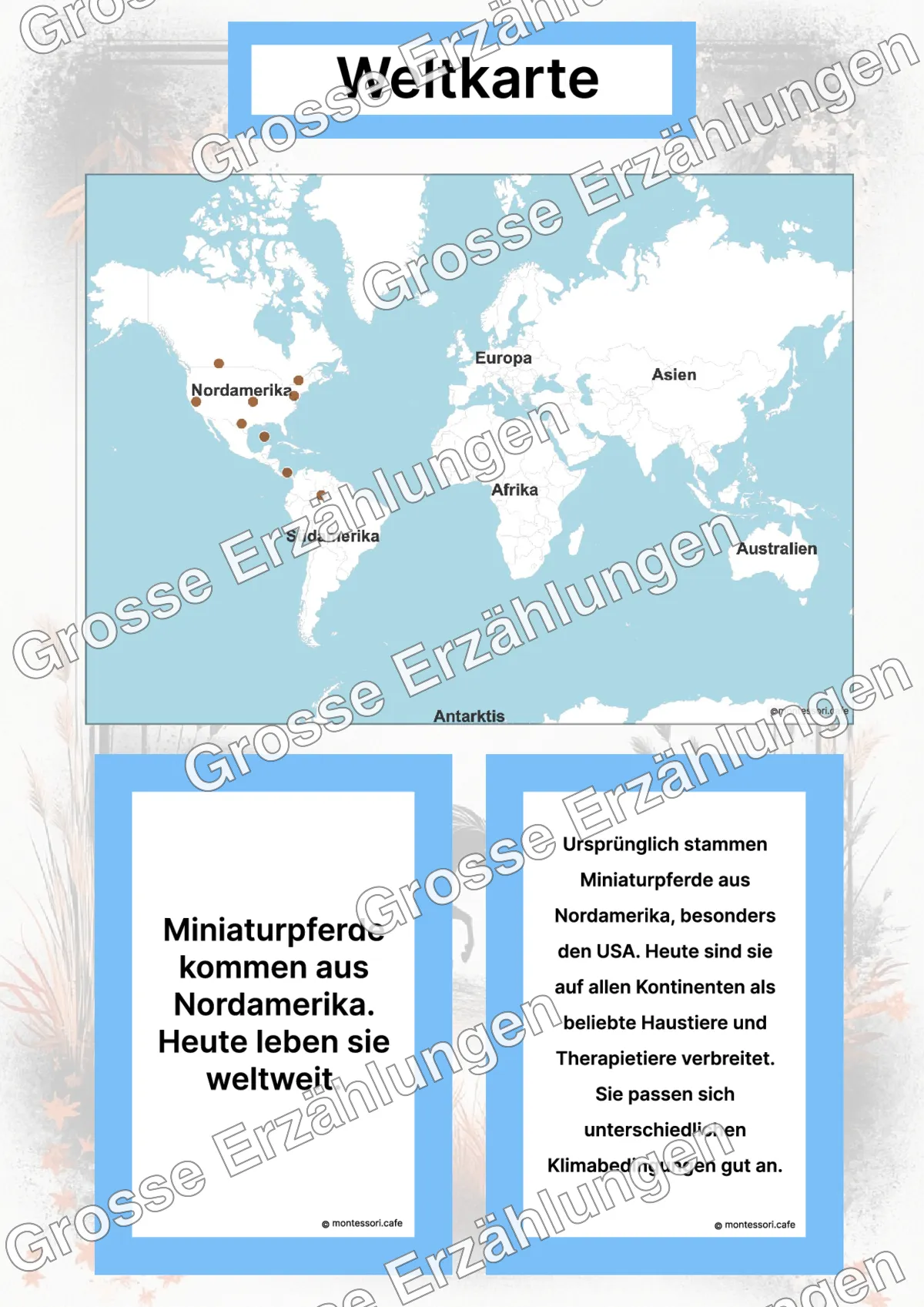 Das Amerikanische Miniaturpferd - Lernkarten - Inhaltsbeispiel Seite 2 mit Montessori Lehrmaterial