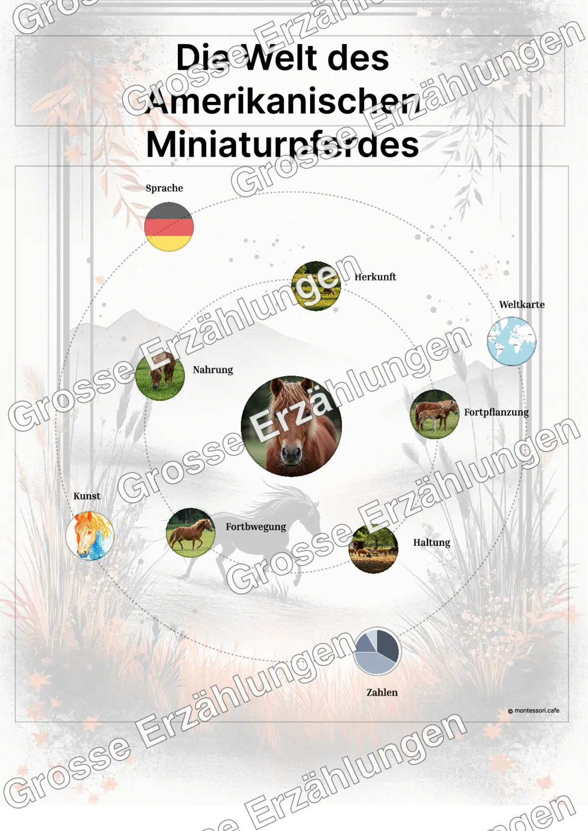 Das Amerikanische Miniaturpferd - Lernkarten - Beispielseite 3 von 5 mit Kommen des Lebens Inhalten