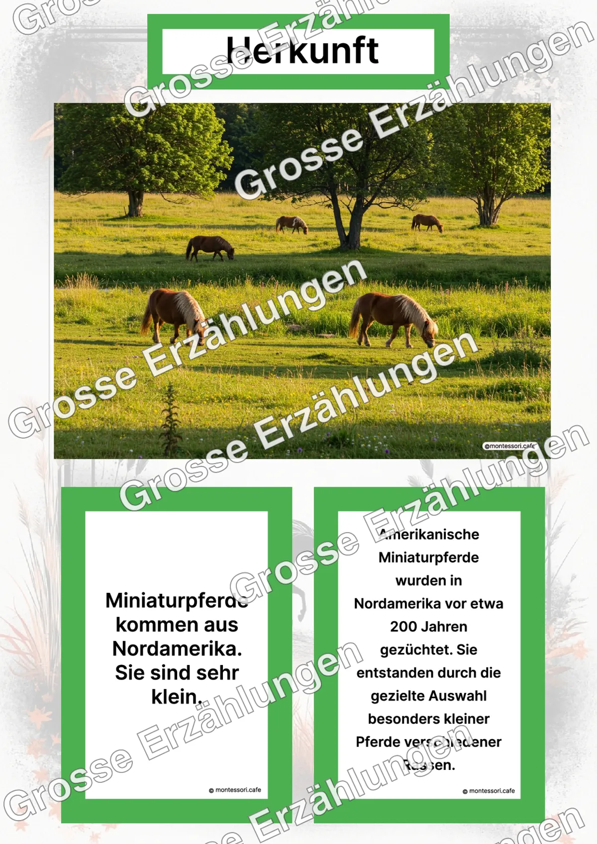 Das Amerikanische Miniaturpferd - Lernkarten - Letzte Vorschauseite des PDF-Downloads