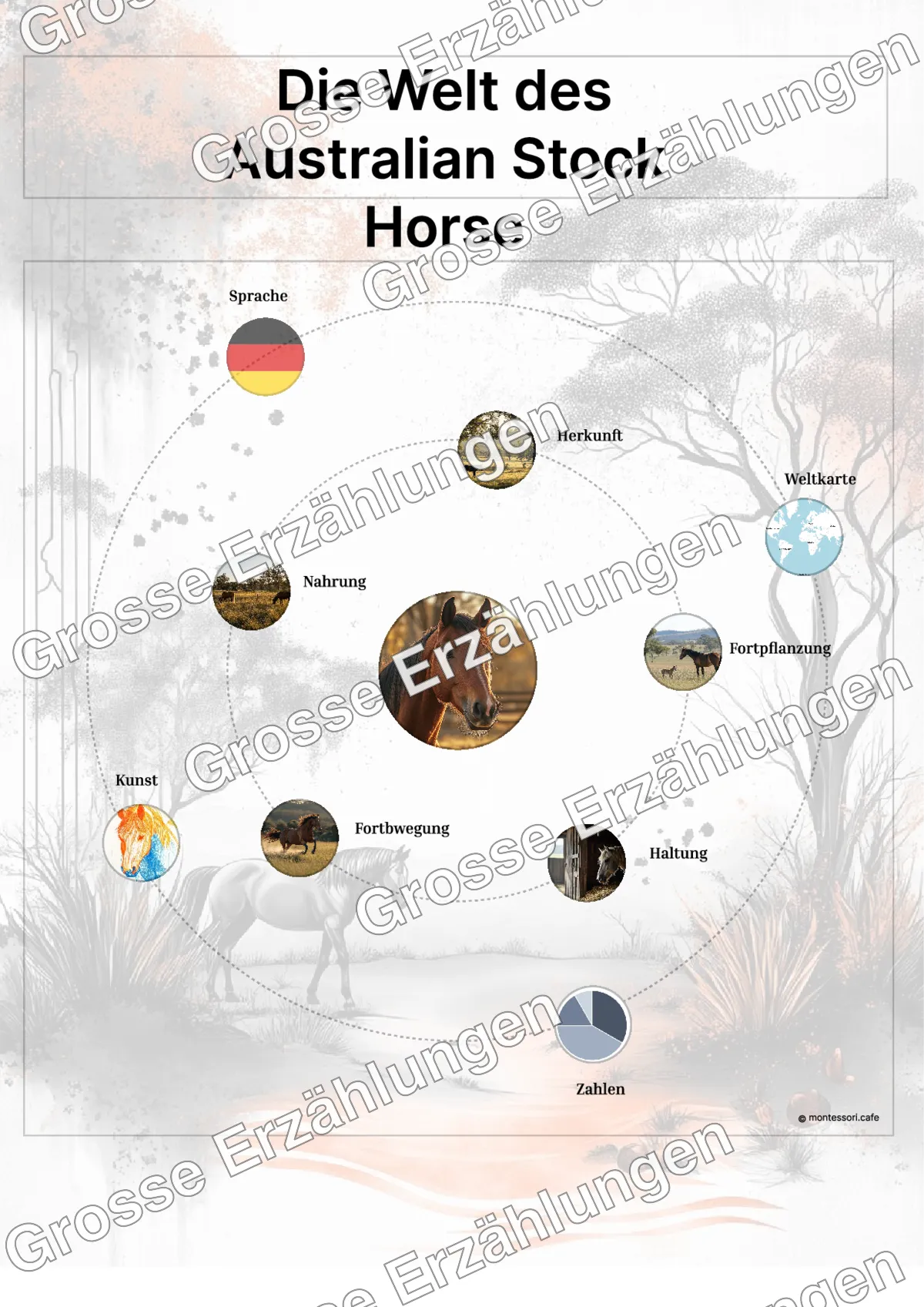 Das Australian Stock Horse - Ganzheitliche Lernkarten - Beispielseite 3 von 5 mit Kommen des Lebens Inhalten