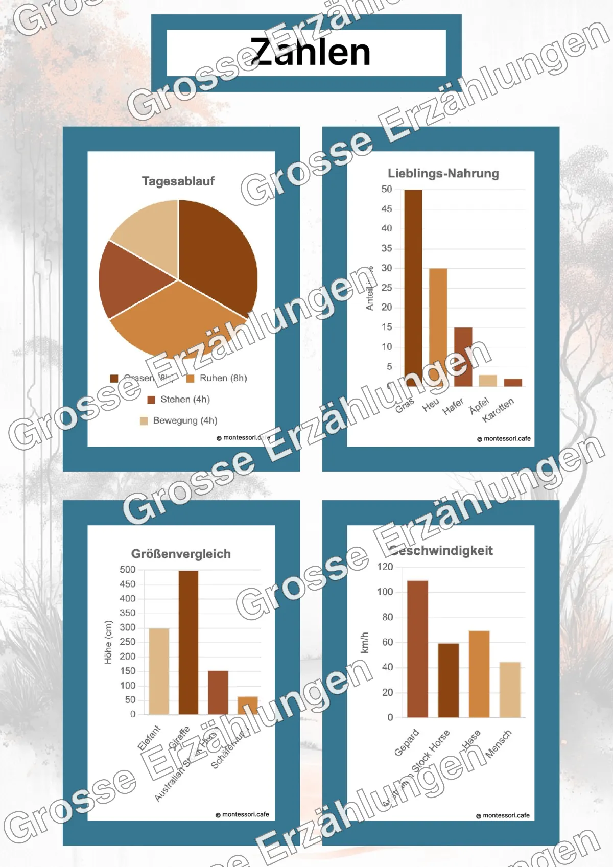 Das Australian Stock Horse - Ganzheitliche Lernkarten - Beispielseite 4 von 5 mit Kommen des Lebens Inhalten
