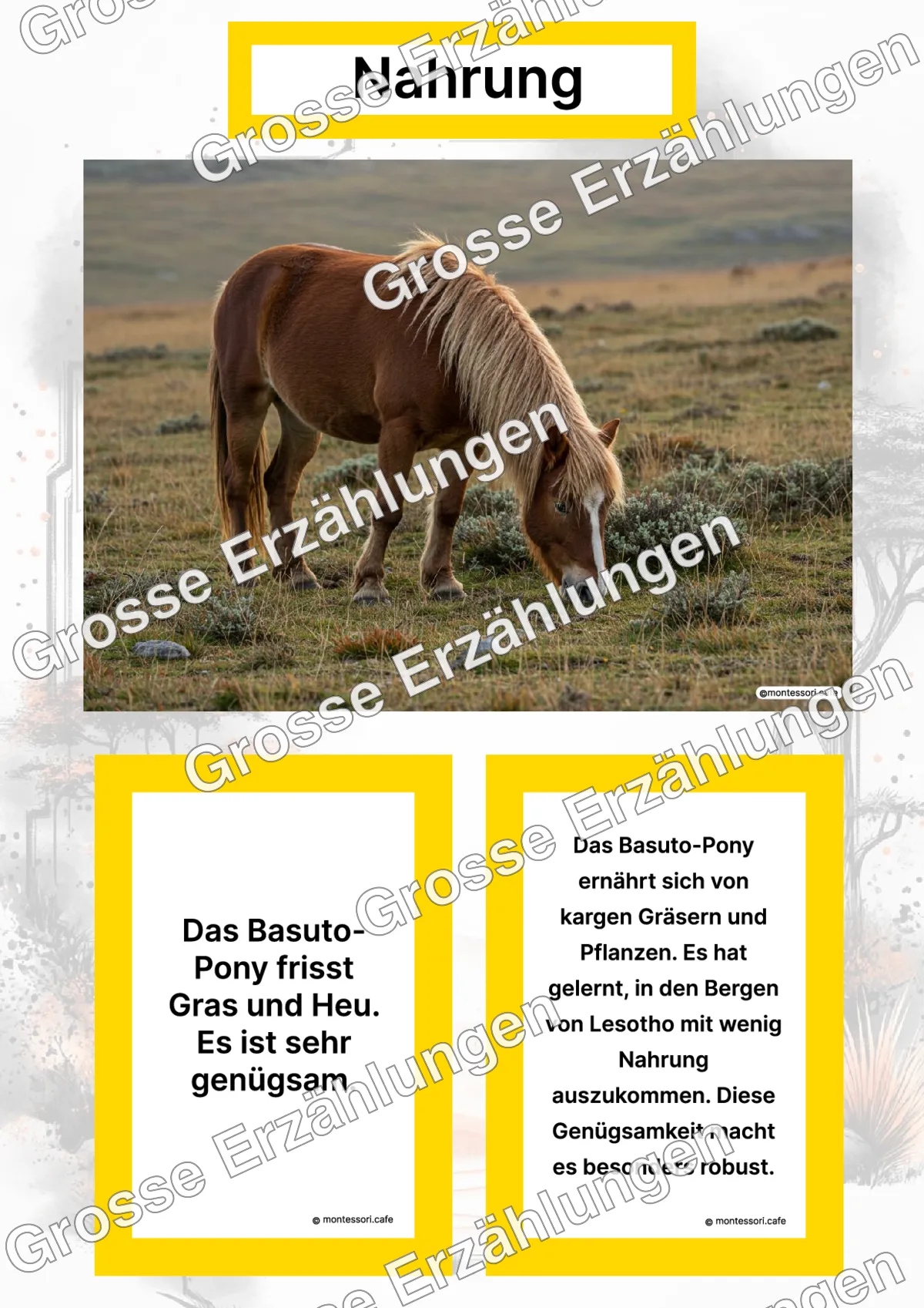 Das Basuto-Pony - Lernkarten - Titelseite und Übersicht des Kommen des Lebens Lernmaterials