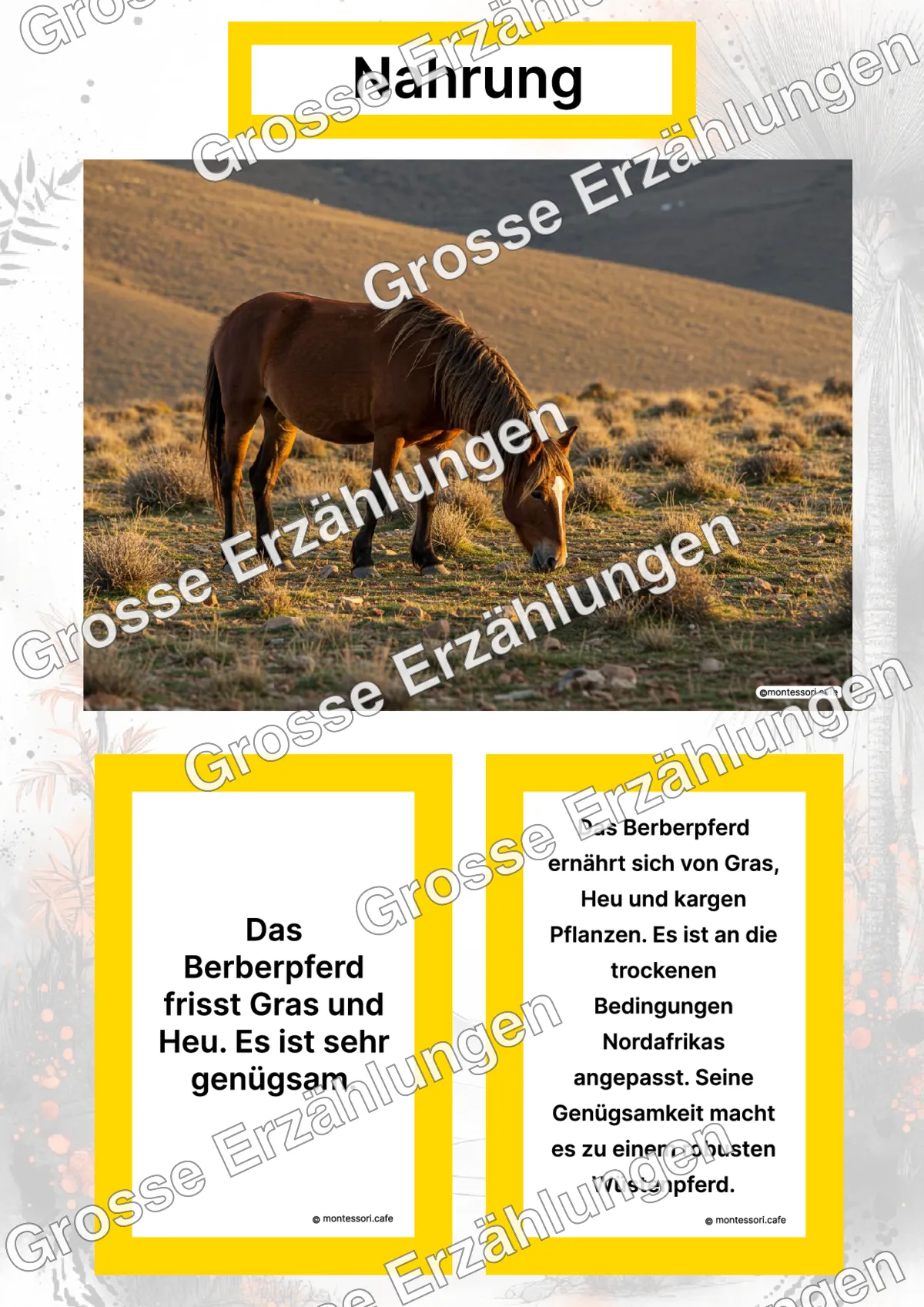 Das Berberpferd - Lernkarten - Titelseite und Übersicht des Kommen des Lebens Lernmaterials