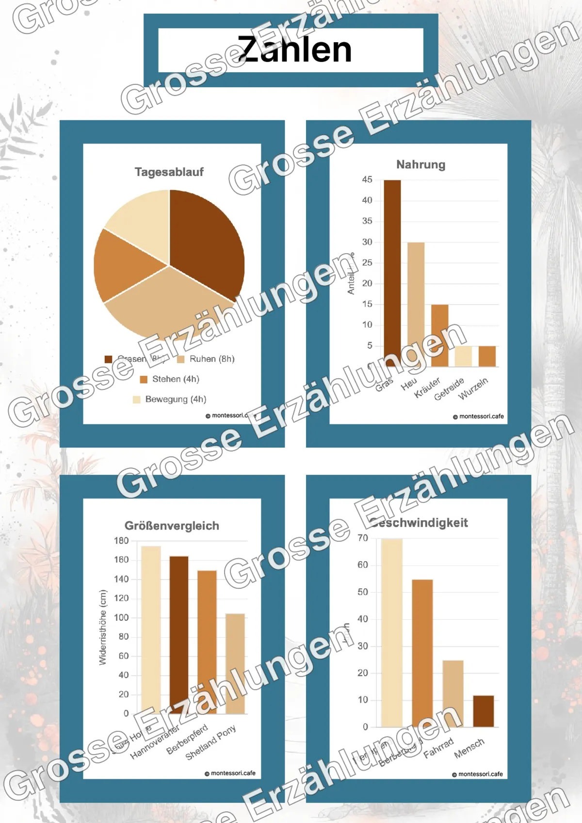 Das Berberpferd - Lernkarten - Beispielseite 4 von 5 mit Kommen des Lebens Inhalten
