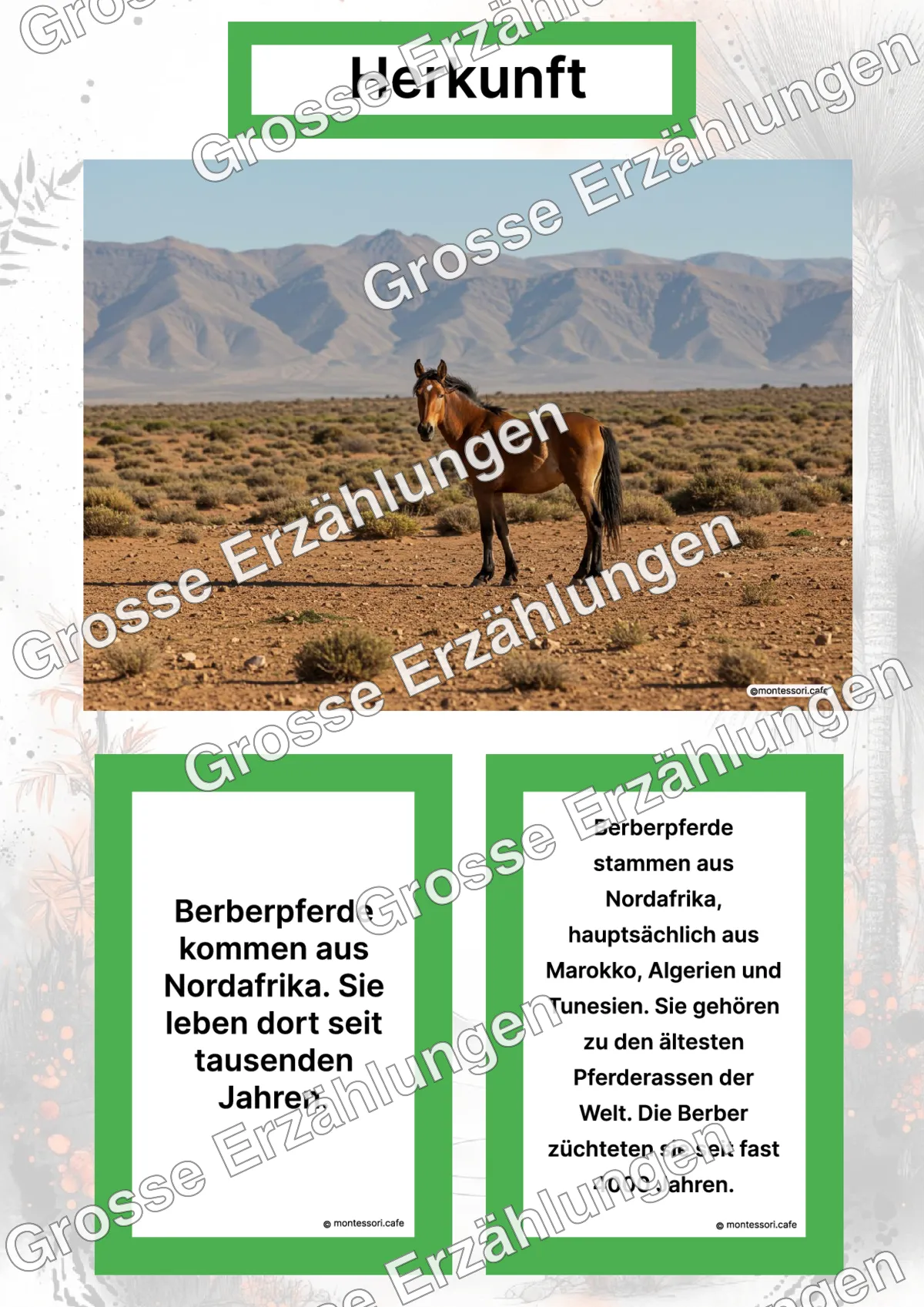 Das Berberpferd - Lernkarten - Letzte Vorschauseite des PDF-Downloads