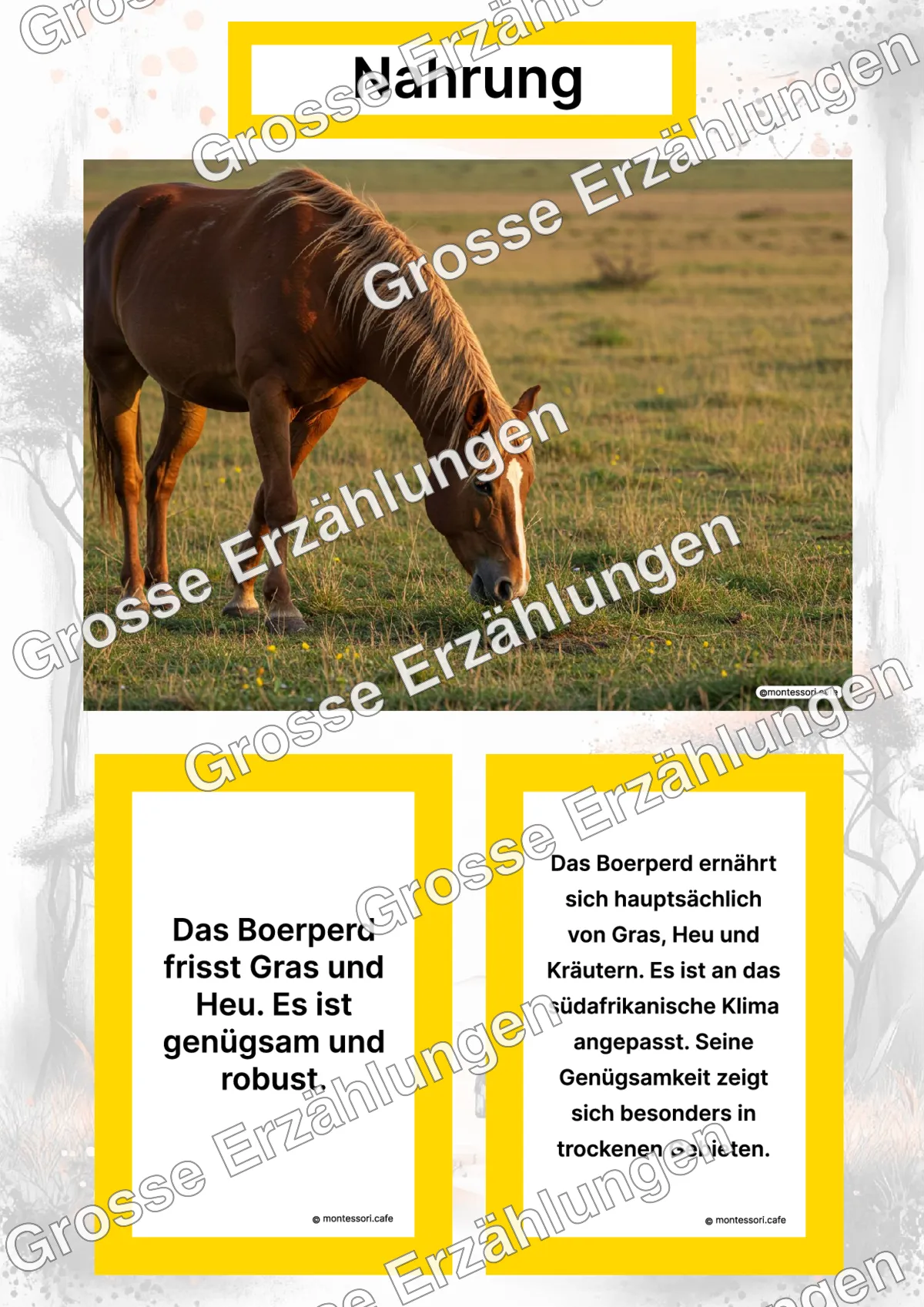 Das Boerperd - Lernkarten - Titelseite und Übersicht des Kommen des Lebens Lernmaterials