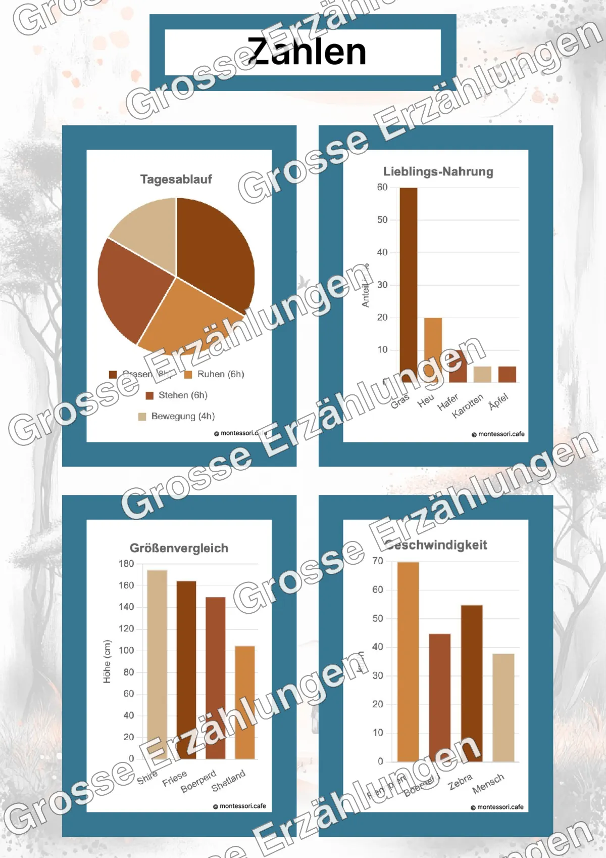 Das Boerperd - Lernkarten - Beispielseite 4 von 5 mit Kommen des Lebens Inhalten
