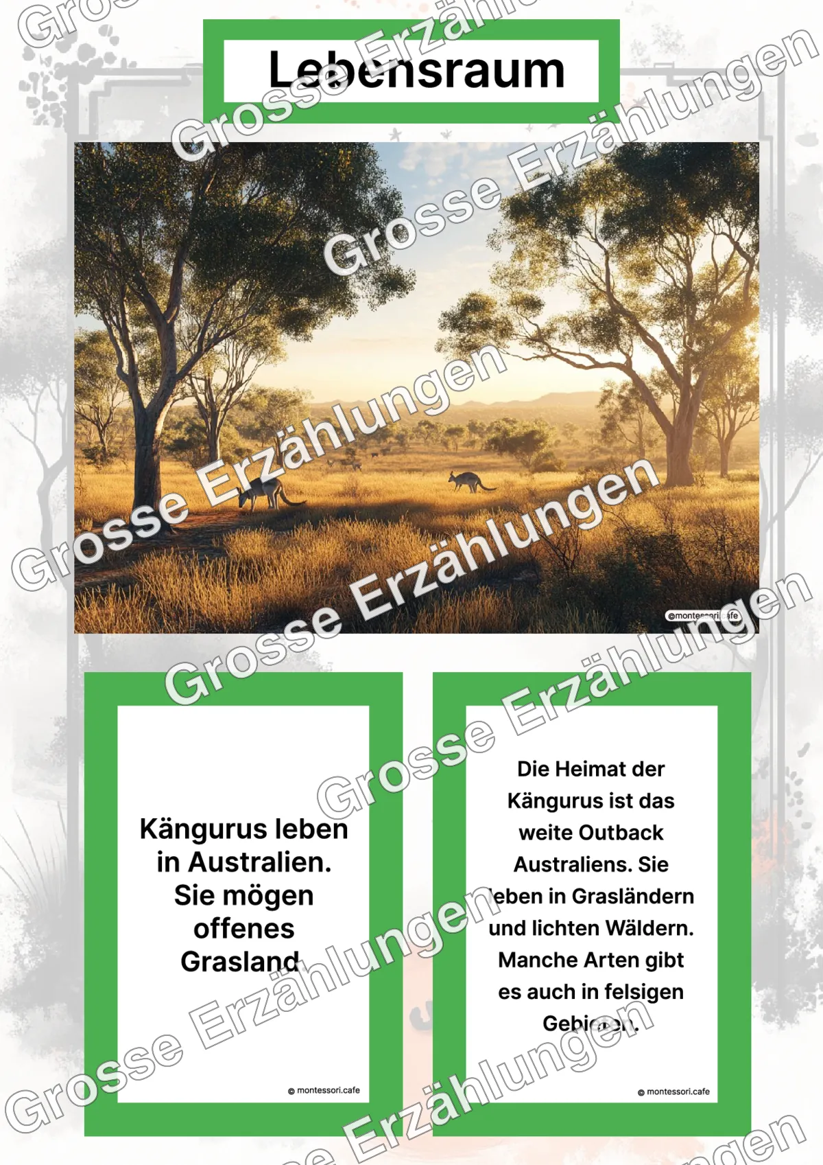 Das Känguru - Lernkarten - Letzte Vorschauseite des PDF-Downloads