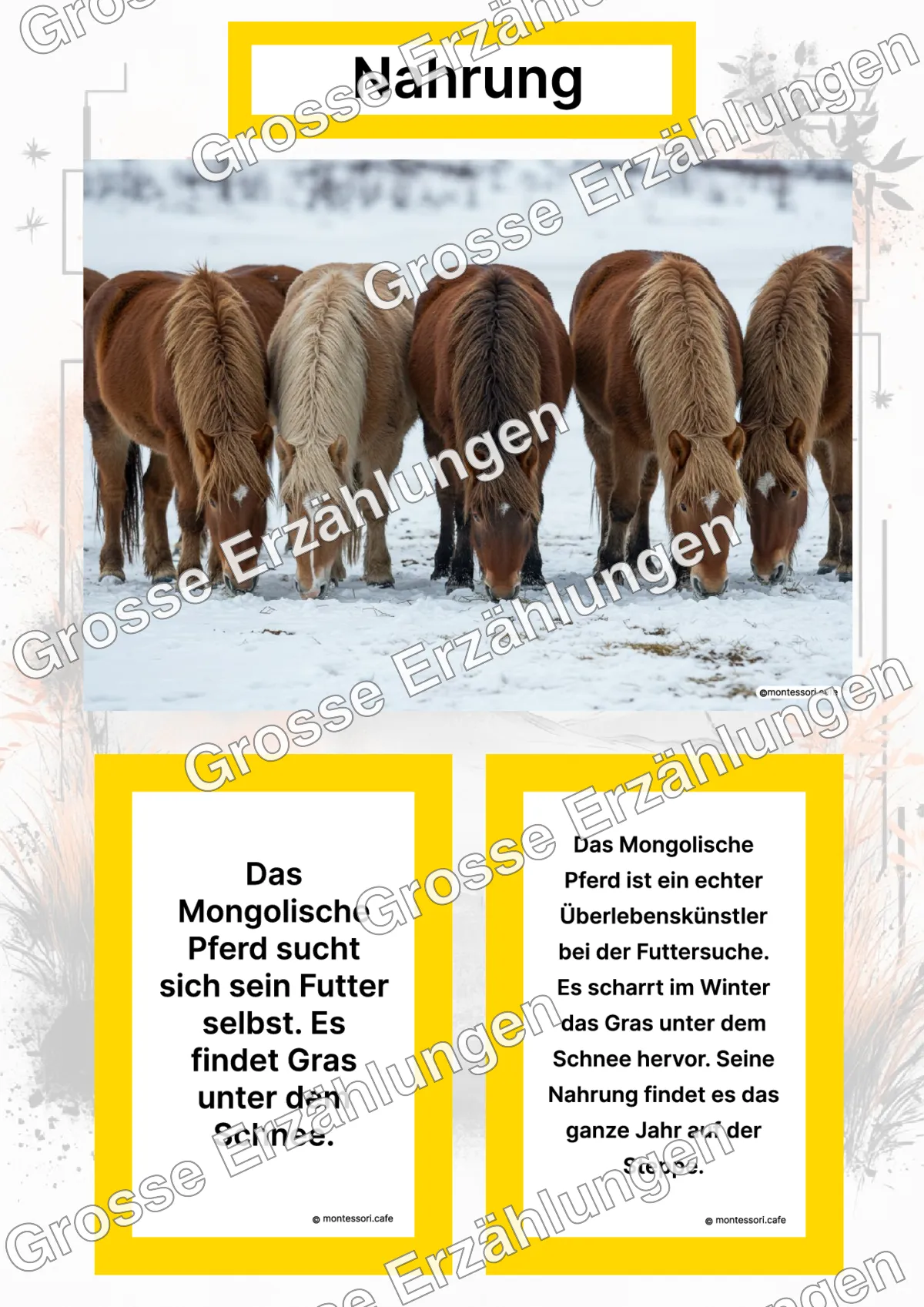 Das Mongolische Pferd - Lernkarten - Titelseite und Übersicht des Kommen des Lebens Lernmaterials