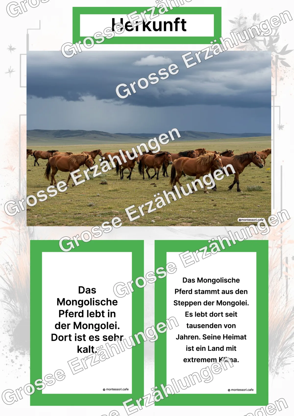 Das Mongolische Pferd - Lernkarten - Letzte Vorschauseite des PDF-Downloads