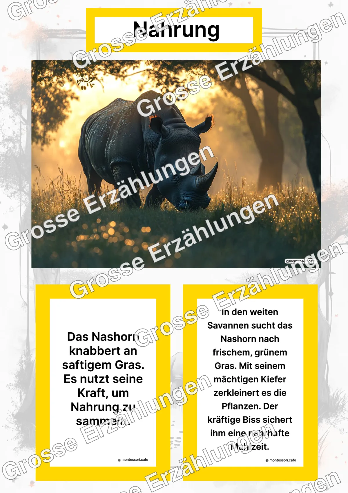 Das Nashorn - Lernkarten - Titelseite und Übersicht des Kommen des Lebens Lernmaterials