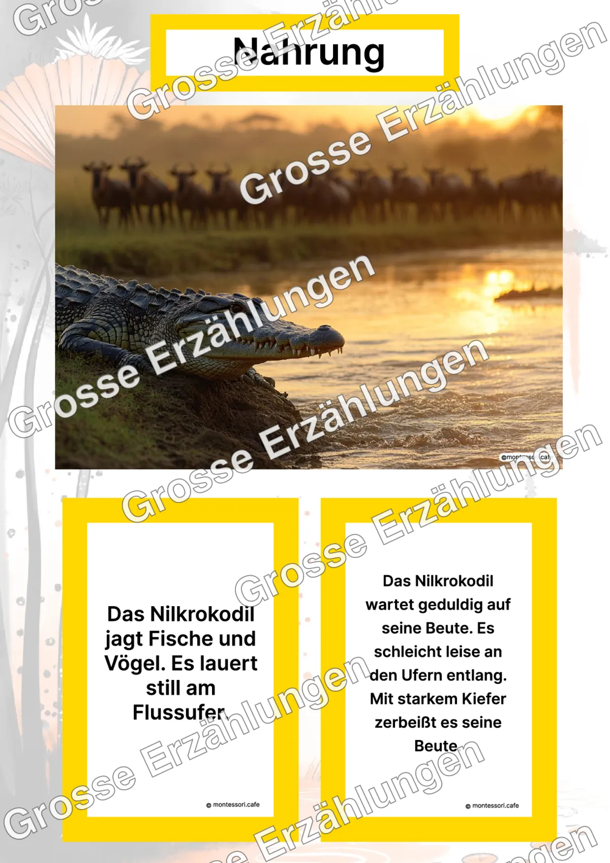 Das Nilkrokodil - Lernkarten - Titelseite und Übersicht des Kommen des Lebens Lernmaterials