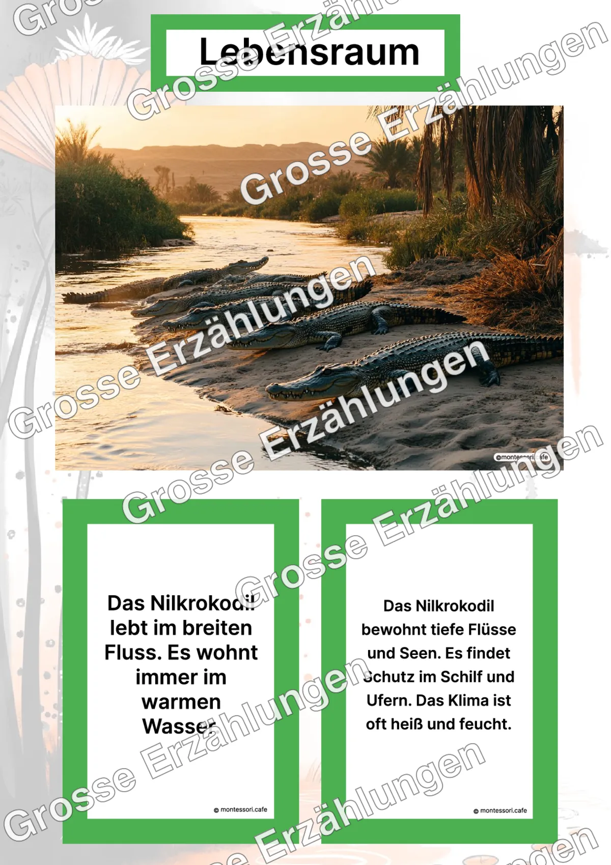 Das Nilkrokodil - Lernkarten - Letzte Vorschauseite des PDF-Downloads