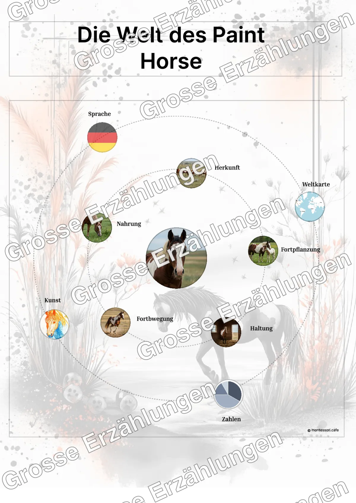 Das Paint Horse - Lernkarten - Beispielseite 3 von 5 mit Kommen des Lebens Inhalten
