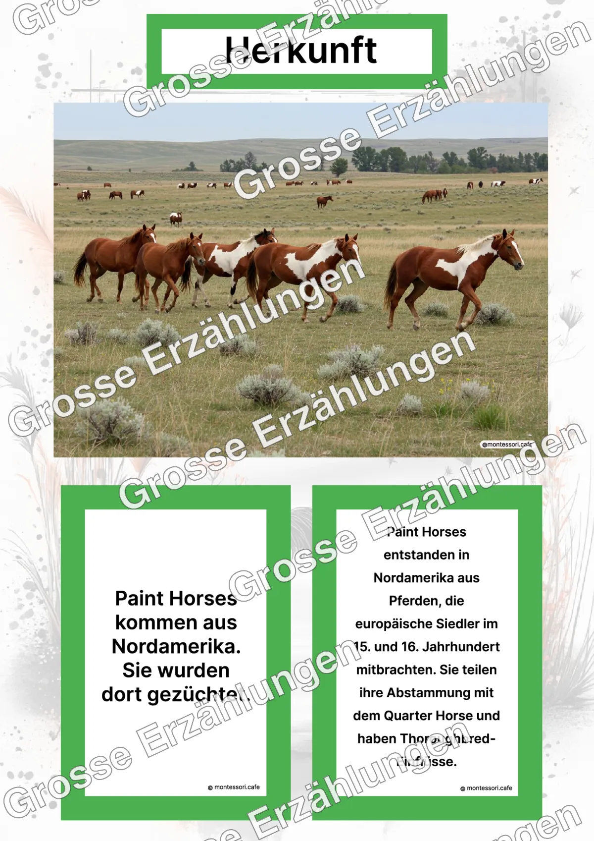 Das Paint Horse - Lernkarten - Letzte Vorschauseite des PDF-Downloads