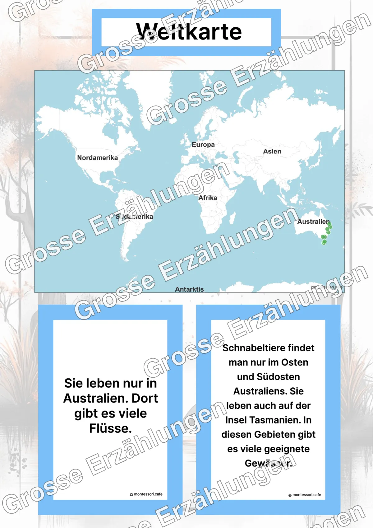 Das Schnabeltier - Lernkarten - Inhaltsbeispiel Seite 2 mit Montessori Lehrmaterial