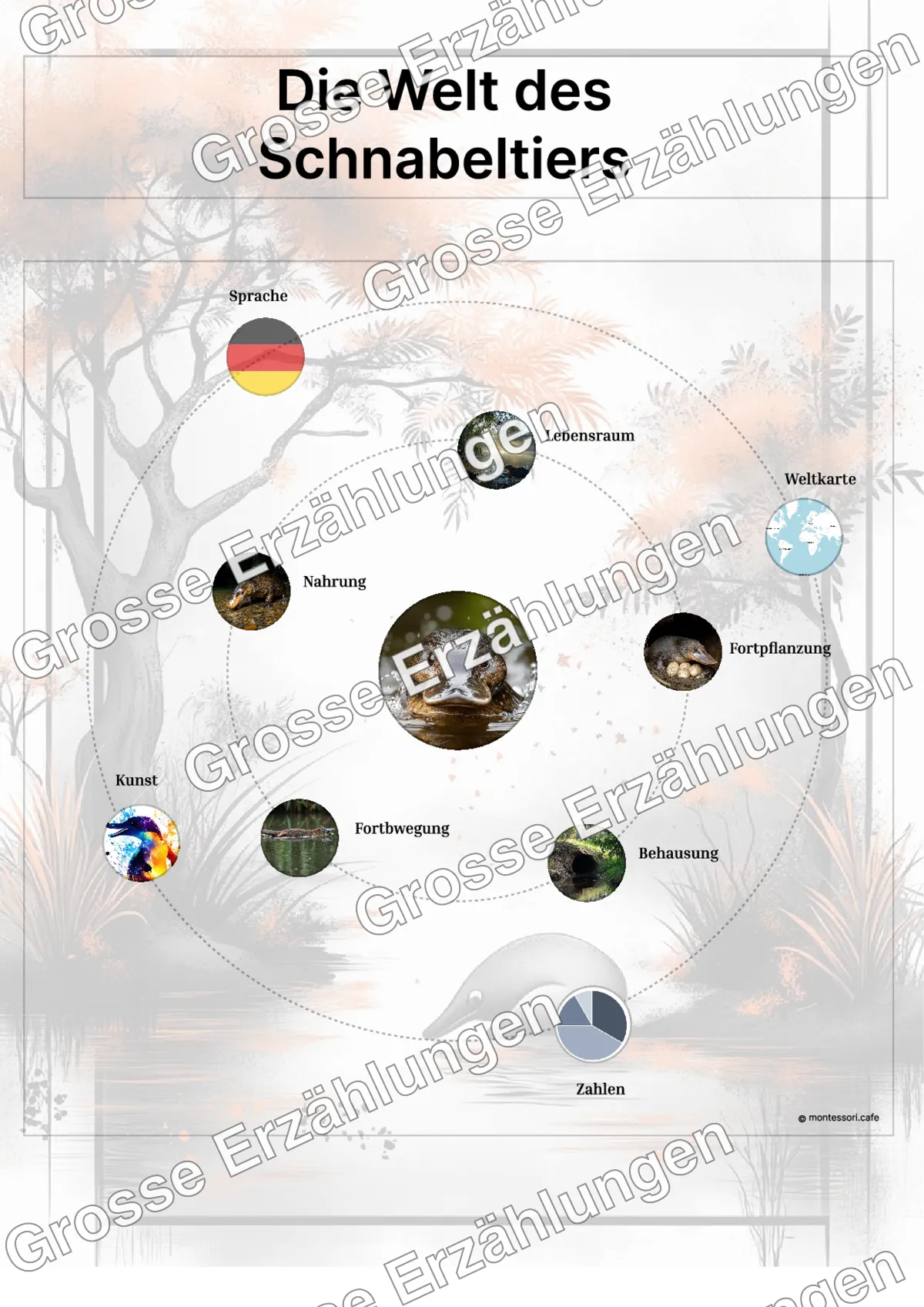 Das Schnabeltier - Lernkarten - Beispielseite 3 von 5 mit Kommen des Lebens Inhalten