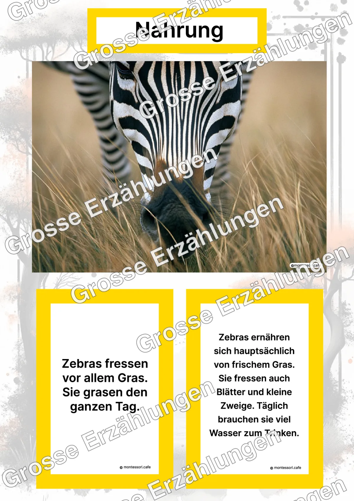 Das Zebra - Lernkarten - Titelseite und Übersicht des Kommen des Lebens Lernmaterials