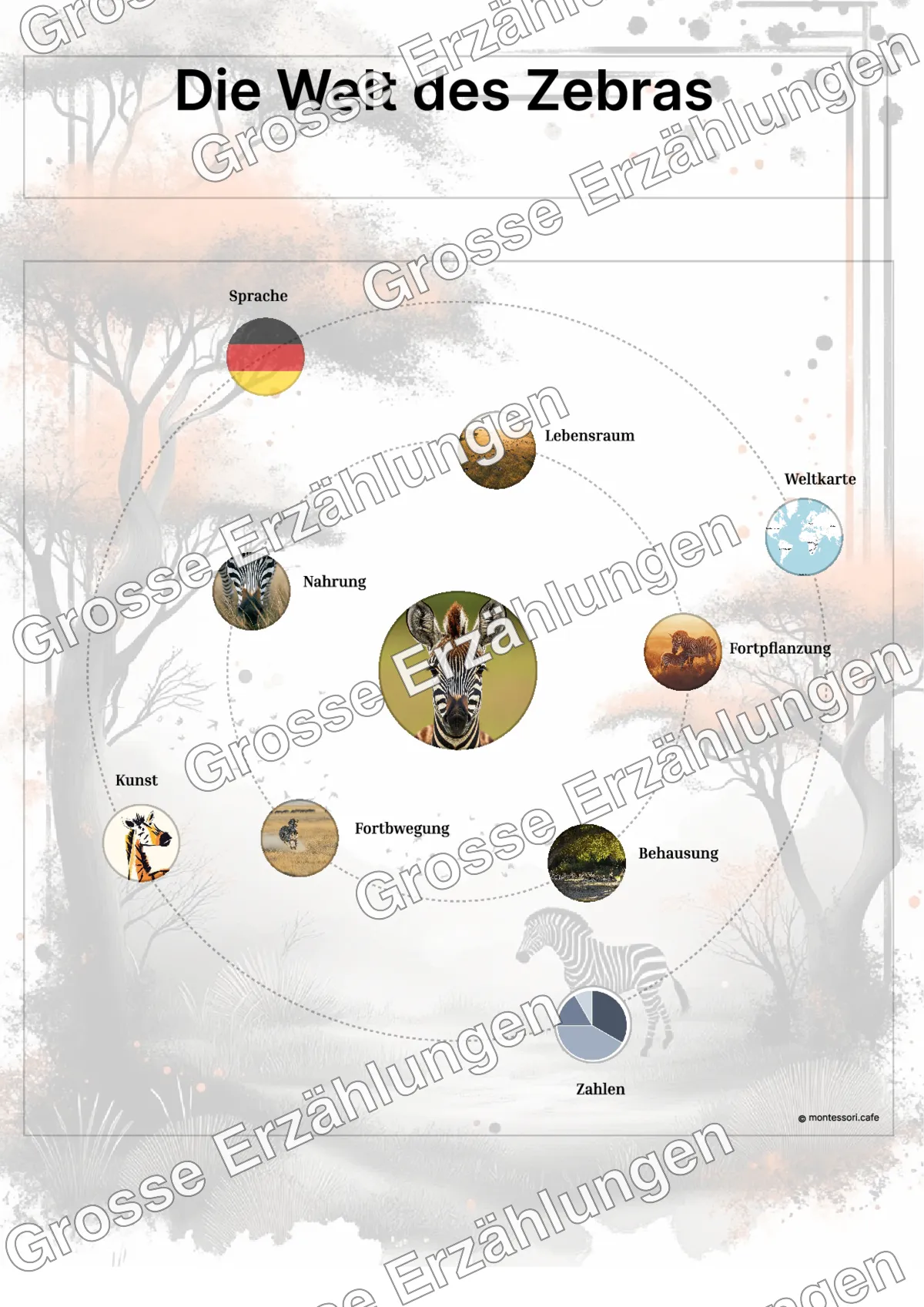 Das Zebra - Lernkarten - Beispielseite 3 von 5 mit Kommen des Lebens Inhalten