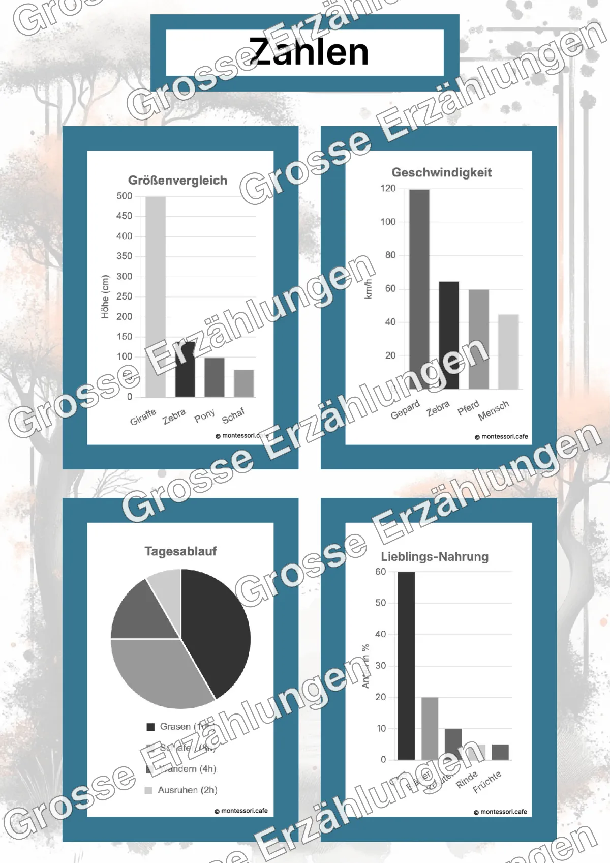 Das Zebra - Lernkarten - Beispielseite 4 von 5 mit Kommen des Lebens Inhalten