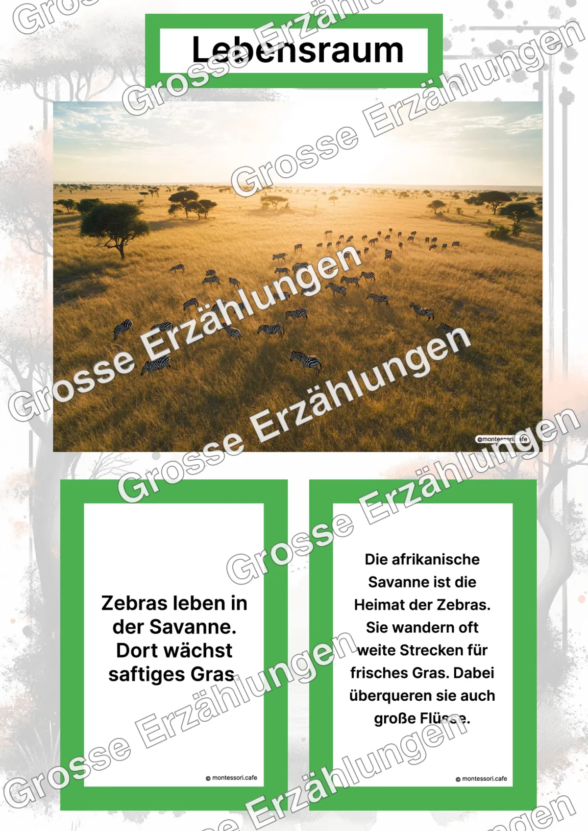 Das Zebra - Lernkarten - Letzte Vorschauseite des PDF-Downloads