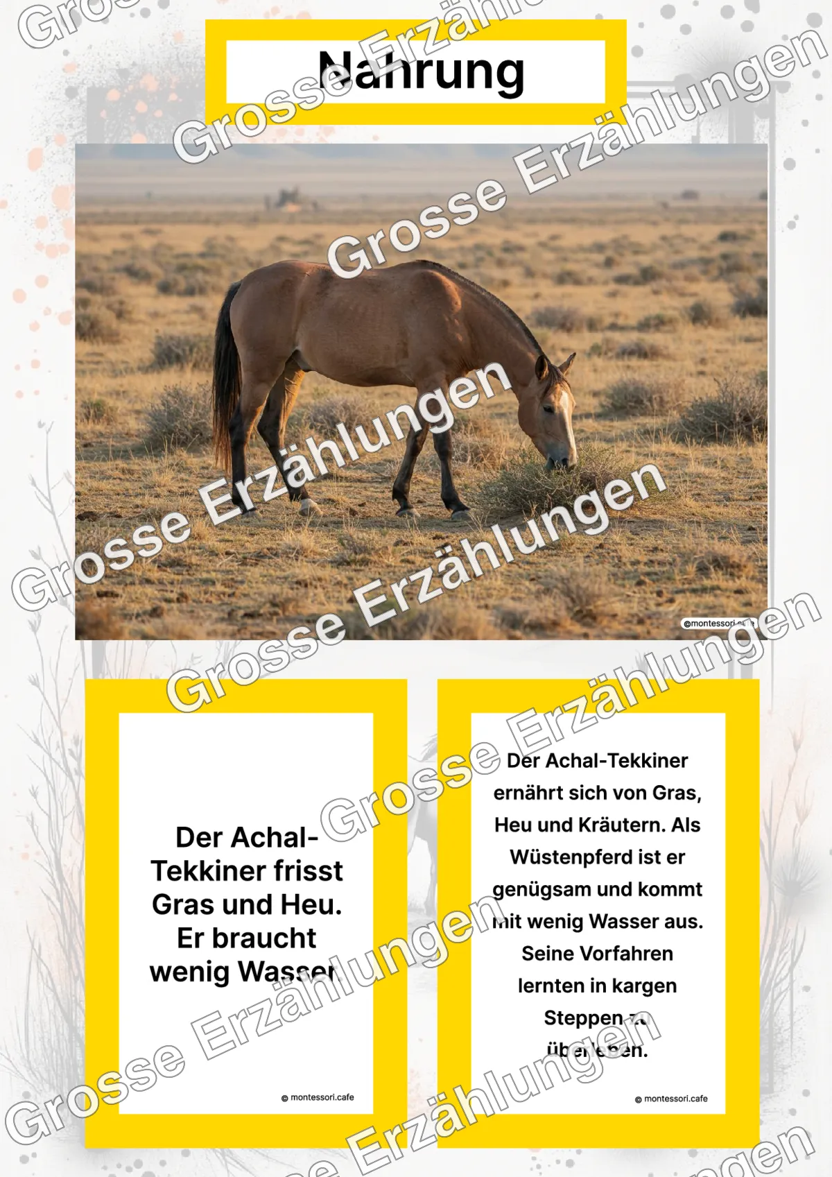 Der Achal-Tekkiner - Lernkarten - Titelseite und Übersicht des Kommen des Lebens Lernmaterials