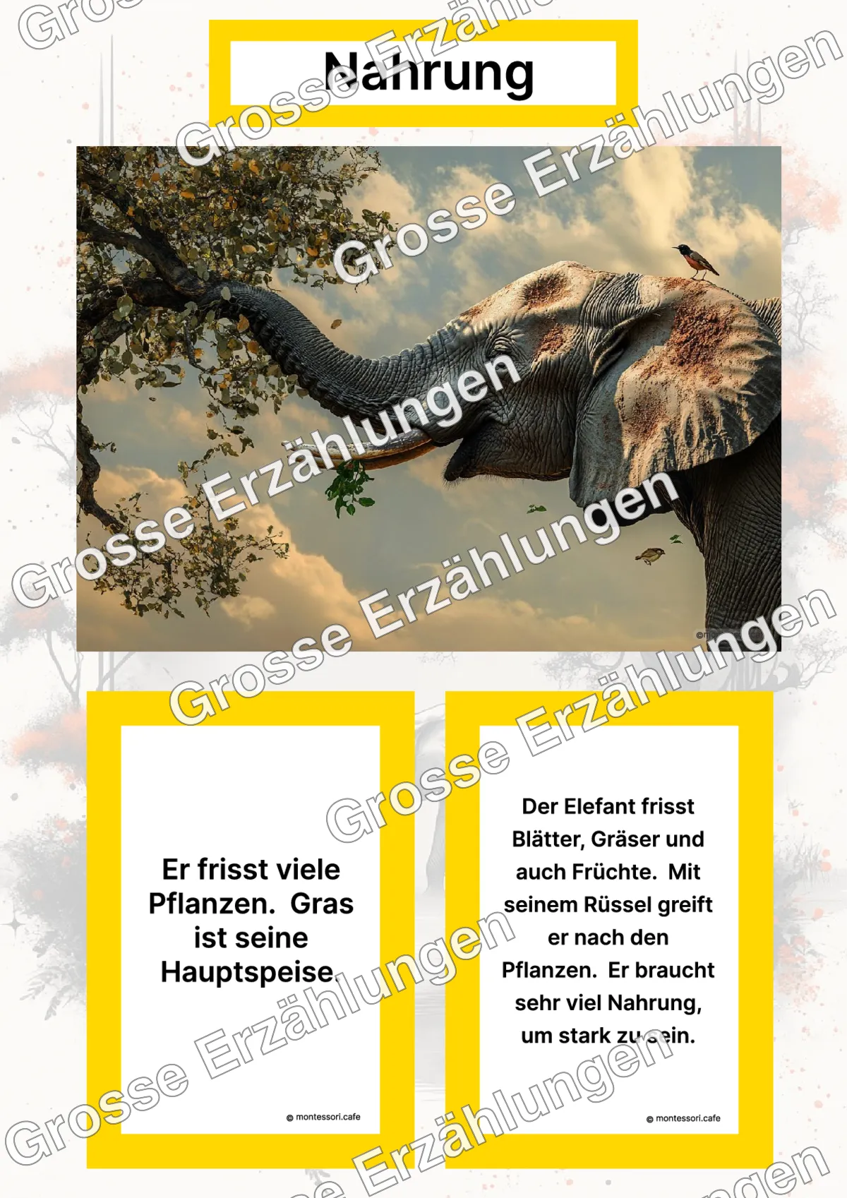 Der Afrikanische Elefant - Lernkarten - Titelseite und Übersicht des Kommen des Lebens Lernmaterials