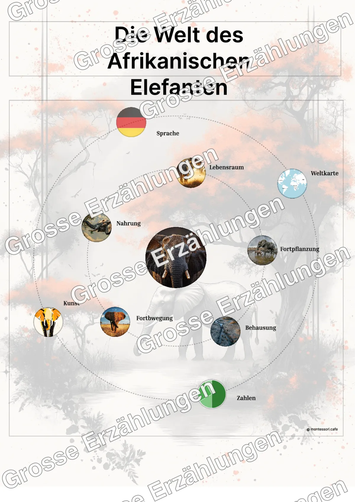 Der Afrikanische Elefant - Lernkarten - Beispielseite 3 von 5 mit Kommen des Lebens Inhalten