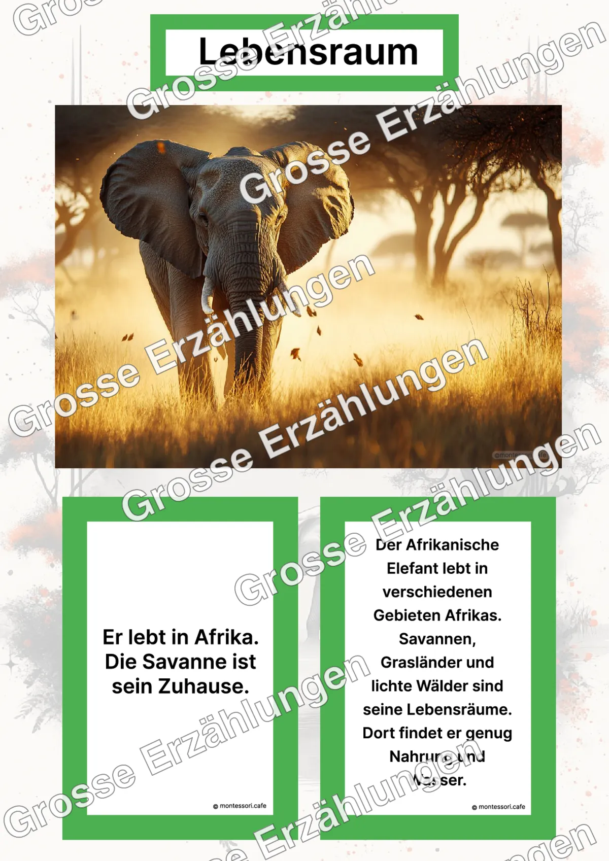 Der Afrikanische Elefant - Lernkarten - Letzte Vorschauseite des PDF-Downloads