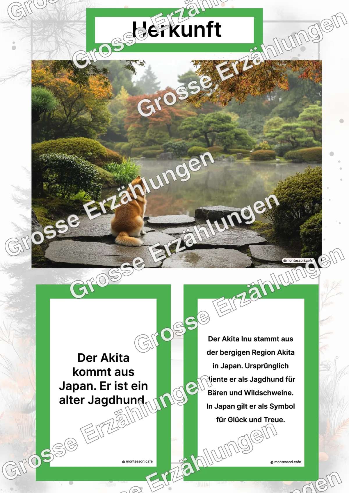Der Akita Inu - Lernkarten - Letzte Vorschauseite des PDF-Downloads