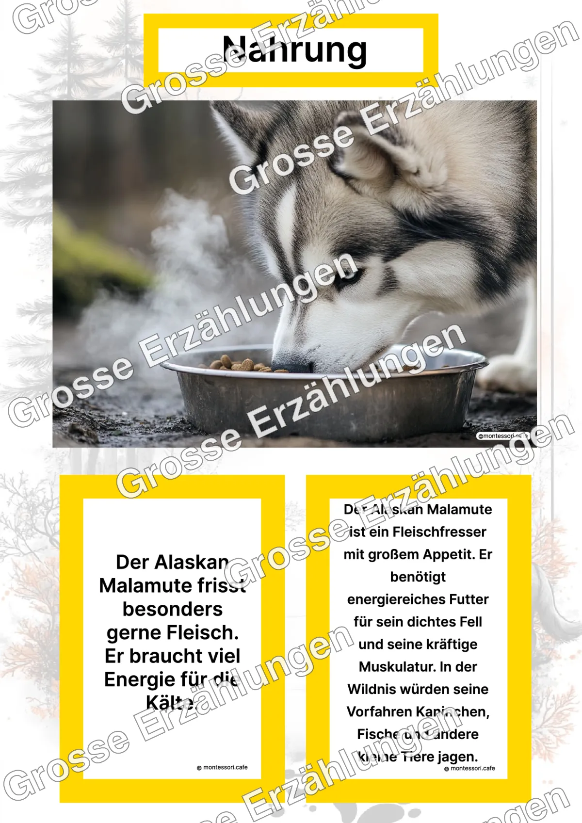 Der Alaskan Malamute - Lernkarten - Titelseite und Übersicht des Kommen des Lebens Lernmaterials