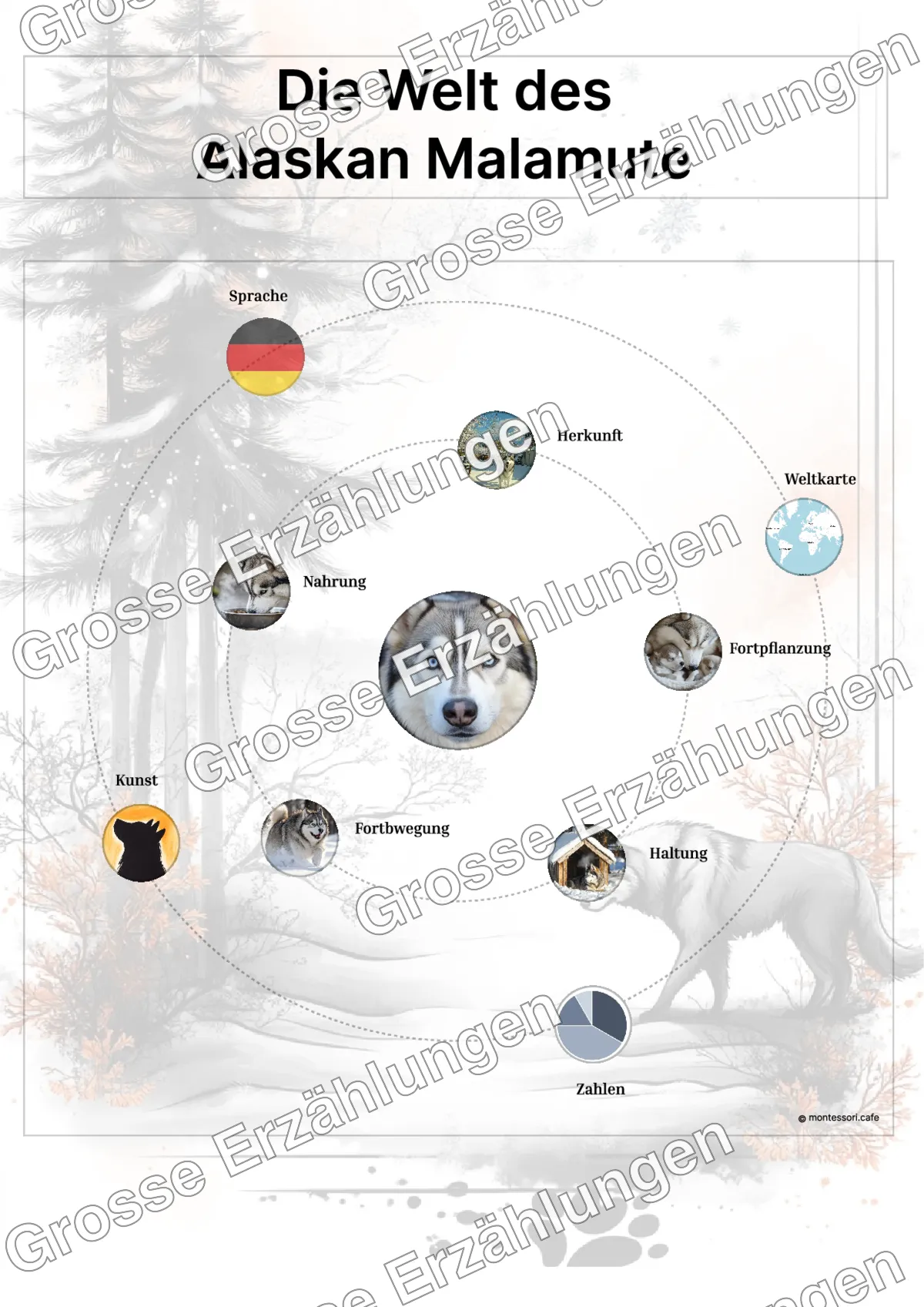 Der Alaskan Malamute - Lernkarten - Beispielseite 3 von 5 mit Kommen des Lebens Inhalten