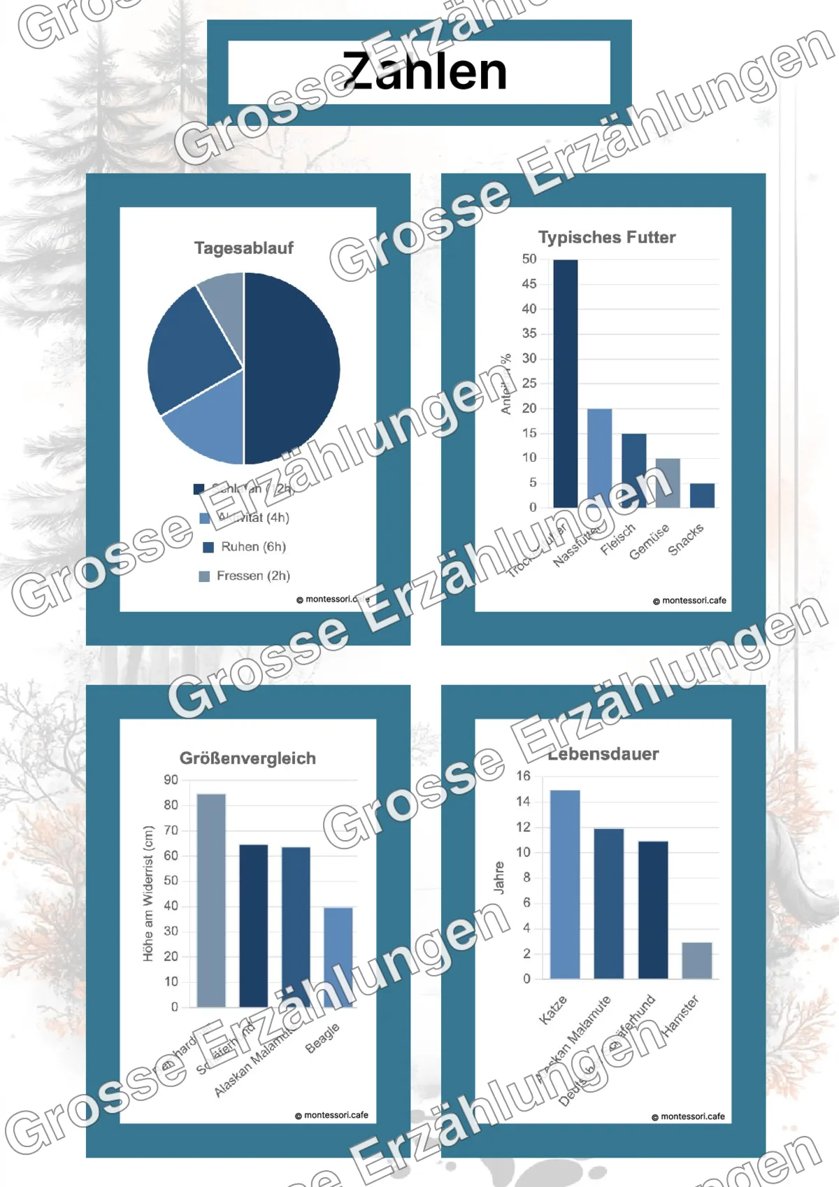Der Alaskan Malamute - Lernkarten - Beispielseite 4 von 5 mit Kommen des Lebens Inhalten