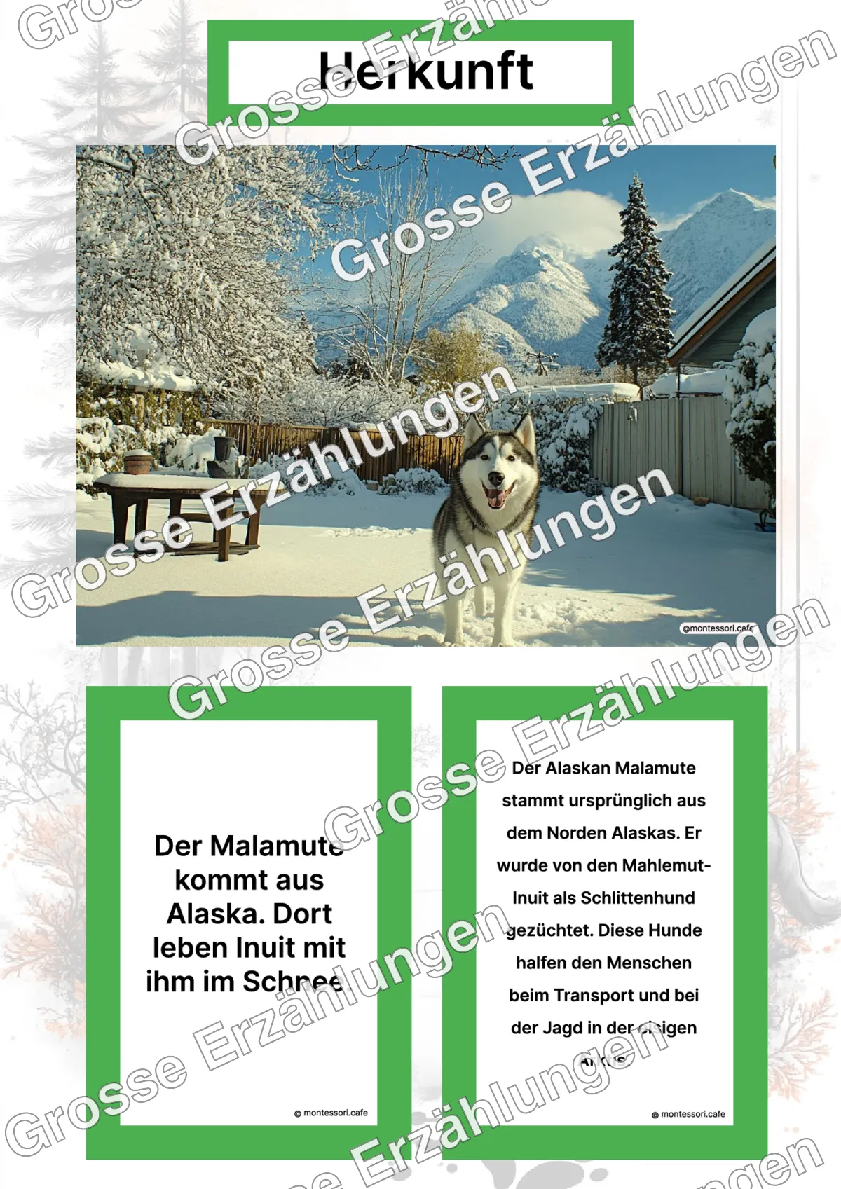 Der Alaskan Malamute - Lernkarten - Letzte Vorschauseite des PDF-Downloads