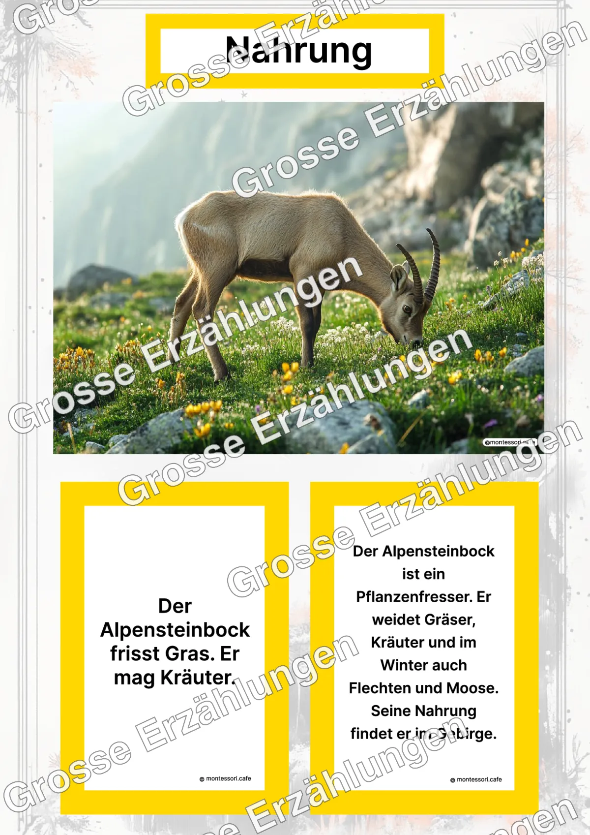 Der Alpensteinbock - Lernkarten - Titelseite und Übersicht des Kommen des Lebens Lernmaterials