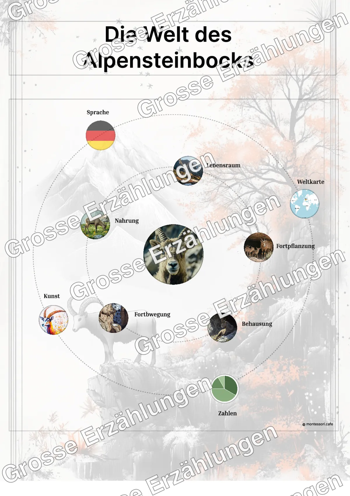 Der Alpensteinbock - Lernkarten - Beispielseite 3 von 5 mit Kommen des Lebens Inhalten