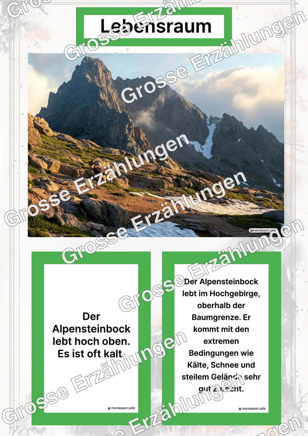Der Alpensteinbock - Lernkarten - Letzte Vorschauseite des PDF-Downloads